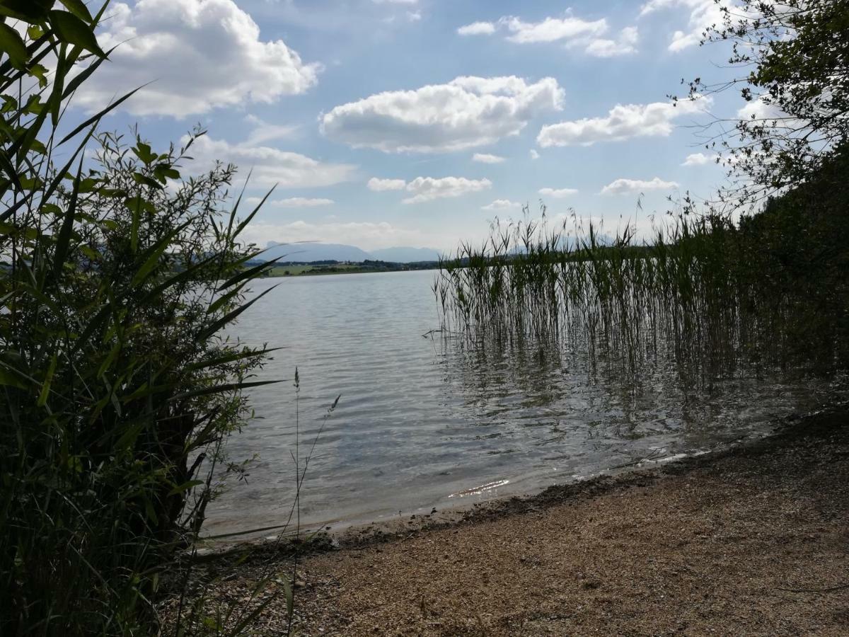 Am See 90 Seekirchen am Wallersee Zewnętrze zdjęcie