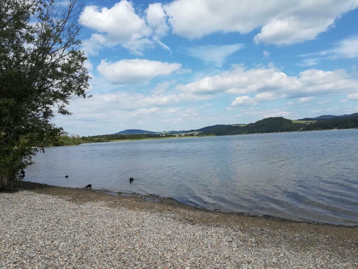 Am See 90 Seekirchen am Wallersee Zewnętrze zdjęcie
